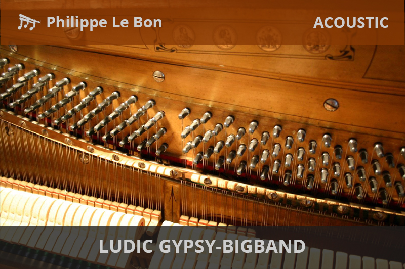 Ludic Gypsy-Bigband
